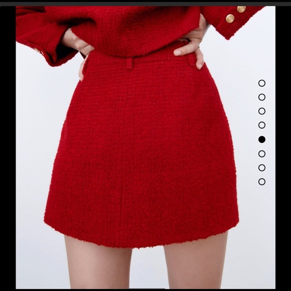 Zara Textured Mini Skirt - Picture 5 of 16